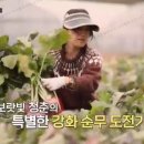 핑크김치