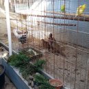 여수민박 이미지