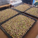 주영카페 | 청주카페 두쫀쿠 맛집 카페,주영 내돈내산 솔직후기 시장 안 숨은 두쫀쿠 찐맛집