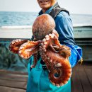 모두의밥상 이미지