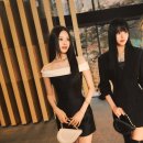 더스토리코코