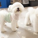 무무유치원 이미지