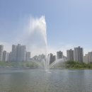 장미원공인중개사사무소 이미지