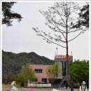 선바위가든 이미지