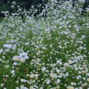 뮤지컬 <렛미플라이> 이미지