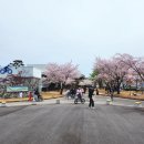 동락공원 자전거대여소(동절기) 이미지