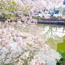 대흘보건진료소 이미지