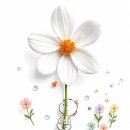시운(時運)과 천명(天命) 이미지