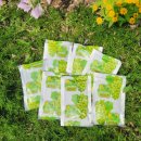 초아농원 | 초아농원 영천 샤인머스캣 포도즙