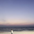 12월 마지막주 : 2019년 되돌아보기