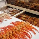 (주)동남수산 | 포항현지인맛집, 수율 좋은 대게 맛집 | 죽도시장 / 포항대게 동남수산