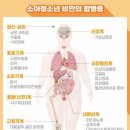 mz 교사가 느낀 알파 초등 학생의 삶 이미지