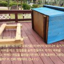 똘이집