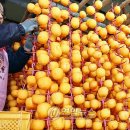 이재혁 농장 이미지