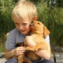 분당24시동물의료센터 이미지