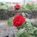 소도락하우스 이미지