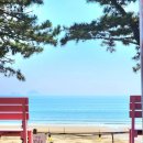 복고바다 이미지