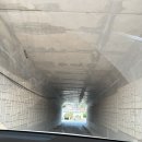 강진 | 강진 림스글램핑장: 전남글램핑장 바베큐, 강진 애견동반숙소 솔직후기