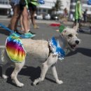 열린24시동물병원 이미지