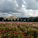 박진전쟁기념관 이미지