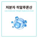 한국모바닉