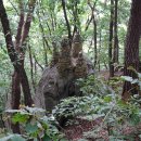 원주굽이길 1코스 가마바우길 이미지