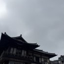 한마당 | 광주 한마당 돌잔치 우드트리 출장 후기