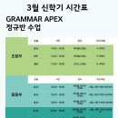 그래머에이펙스영어