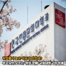 한국전통문화대학교 국가유산전문대학원 | 역사 1등급 딸이 선택한 의외의 대학. 일반 대학과 시작점부터 다른 '국가유산청' 산하 특수대학