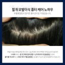 나세르의원 이미지