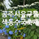 [공주 여행] 2026 공주 유구색동수국축제 방문후기 프로그램·야경· 주차장 추