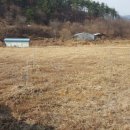 버팀목농원 이미지