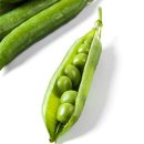 자연과 콩 이미지