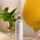 에스솔루션 | 40대 피부관리 추천템, 대용량 에센스 자연맵핑 에스에리아 7 하이브리드 솔루션 케어 에센스 사용 후기