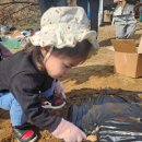 반희담협동조합 | 부천발도르프협동조합 어린이집 적응 후기