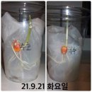 (주)와겐