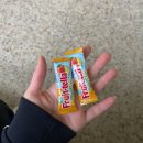 유가중학교 | 2025 끗