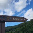 수국정원 이미지