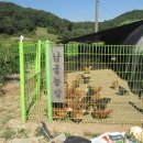 남궁농장 이미지