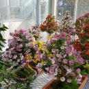 메디움천안요양병원 이미지