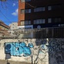 효창약국 | [맛집] 서울 3대 붕어빵 맛집, 효공잉어빵 방문 후기 🐟🔥