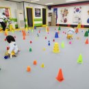 리틀아이 태권도장 이미지