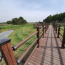 평해사구습지 이미지