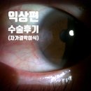 대전성모안과