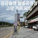 늘봄공원 | [고양] 가족 모임,잔치 하기 좋은 곳 '강강술래 늘봄농원점'