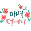 레드빙빙