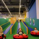 파크베어 이미지