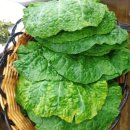 삼오정즉석냄비 이미지