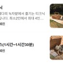 다원여행사 - 12205 | 다원여행사