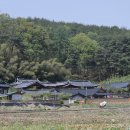 오렌지 꽃향기는 바람에 날리고 이미지